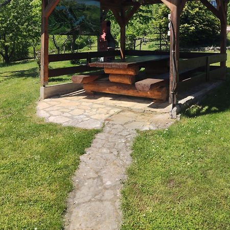 Guesthouse Mirko Hodak Seliste Dreznicko Luaran gambar