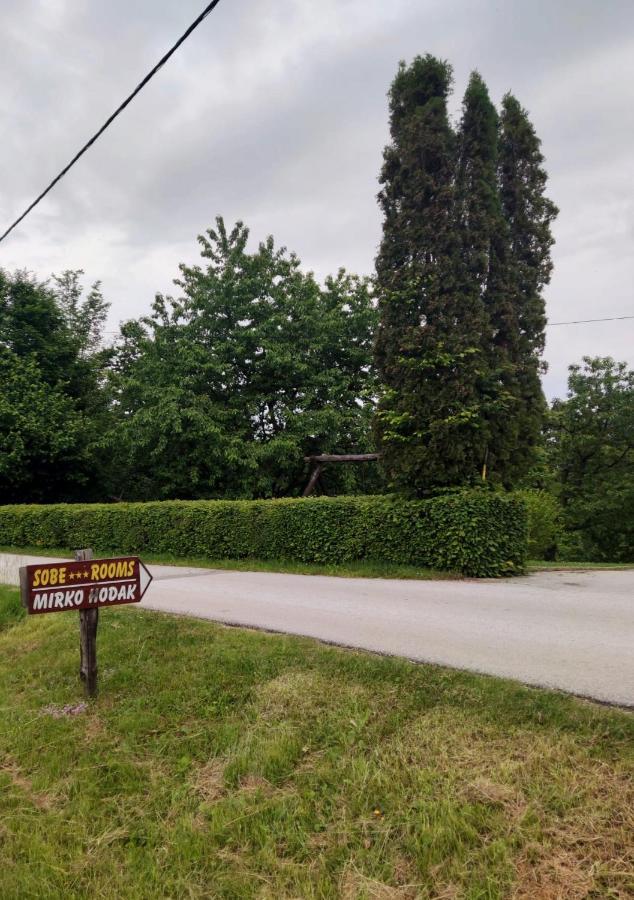 Guesthouse Mirko Hodak Seliste Dreznicko Luaran gambar